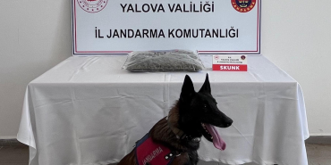 Yalova’da Uyuşturucu Operasyonu: 1,5 Kilogram Skunk Ele Geçirildi