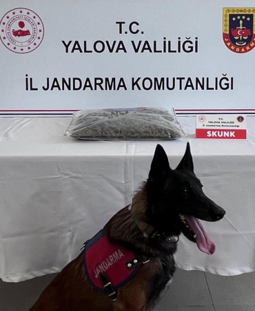 Yalova’da Uyuşturucu Operasyonu: 1,5 Kilogram Skunk Ele Geçirildi