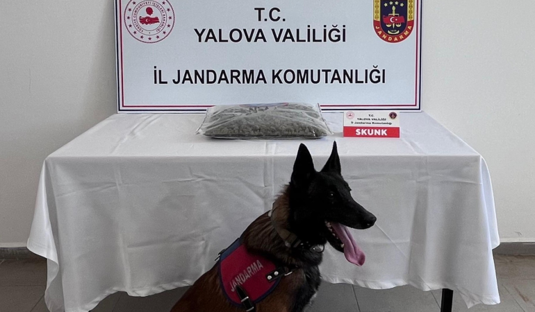 Yalova’da Uyuşturucu Operasyonu: 1,5 Kilogram Skunk Ele Geçirildi