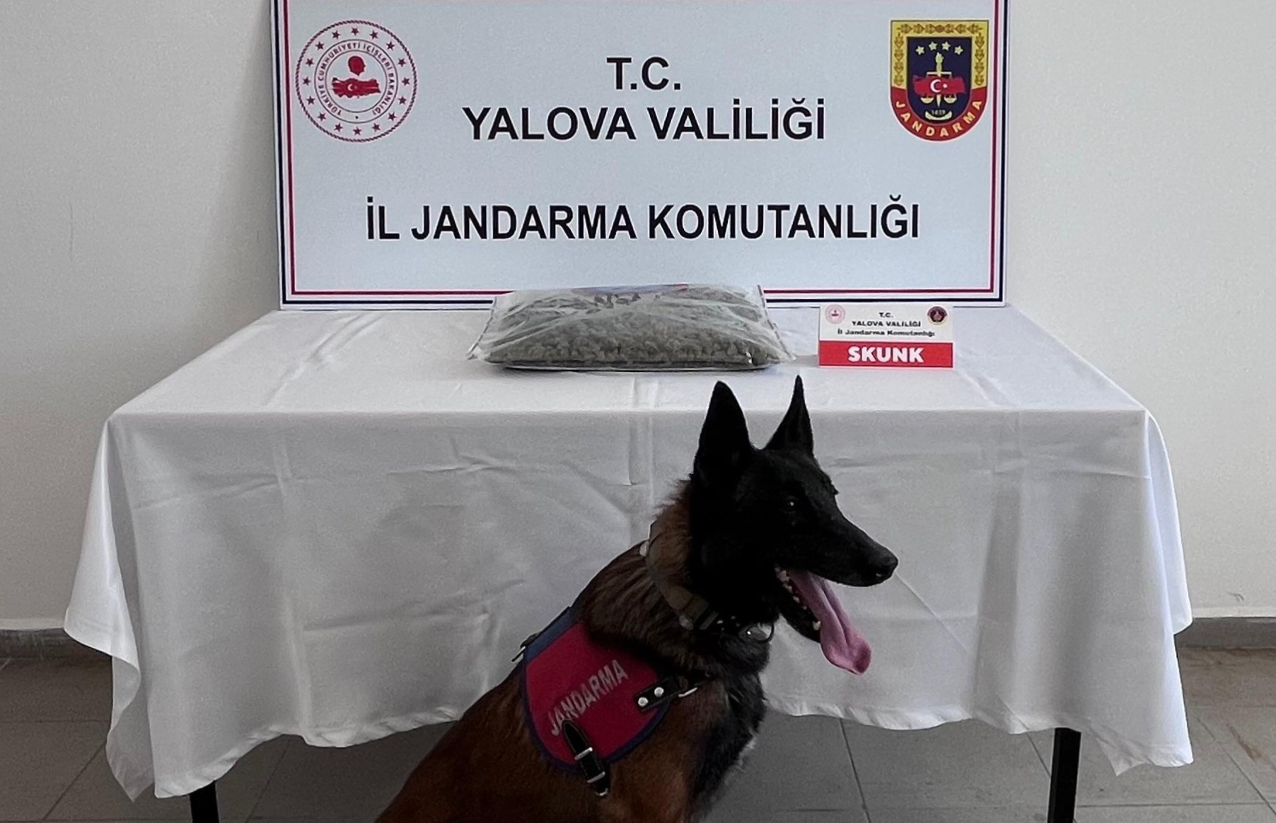 Yalova’da Uyuşturucu Operasyonu: 1,5 Kilogram Skunk Ele Geçirildi