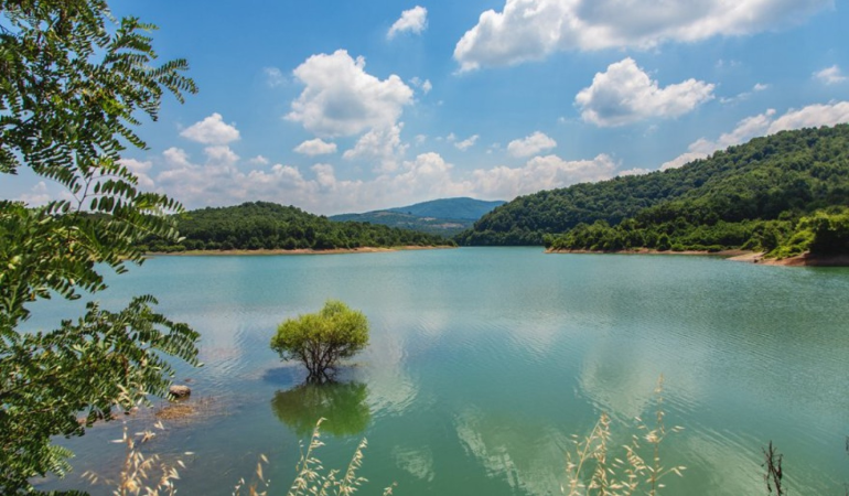 YALOVA SU ALARMINDA! BARAJ DOLU AMA TEHLİKE KAPIDA