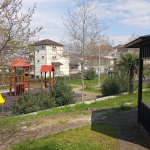 Yalova’da 19 Yaşındaki Gençten Acı Haber