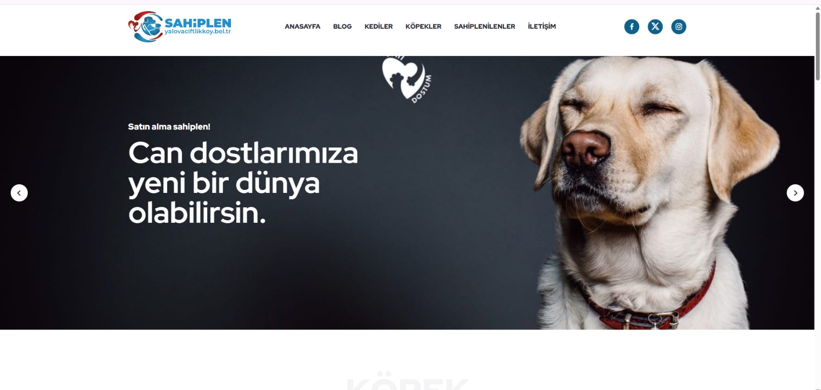 ÇİFTLİKKÖY’ÜN CAN DOSTLARI ‘ŞANSLI’YA SAHİP ÇIKTI 5 ÇİFTLİKKÖY’ÜN CAN DOSTLARI ‘ŞANSLI’YA SAHİP ÇIKTI