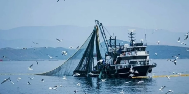 BALIKÇILIKTA AV SEZONU KAPANIYOR: SANAYİ TİPİ GEMİLER İÇİN YASAK BAŞLIYOR 79 BALIKÇILIKTA AV SEZONU KAPANIYOR: SANAYİ TİPİ GEMİLER İÇİN YASAK BAŞLIYOR