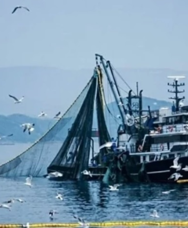 BALIKÇILIKTA AV SEZONU KAPANIYOR: SANAYİ TİPİ GEMİLER İÇİN YASAK BAŞLIYOR 3 BALIKÇILIKTA AV SEZONU KAPANIYOR: SANAYİ TİPİ GEMİLER İÇİN YASAK BAŞLIYOR