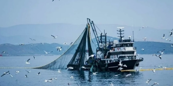 BALIKÇILIKTA AV SEZONU KAPANIYOR: SANAYİ TİPİ GEMİLER İÇİN YASAK BAŞLIYOR
