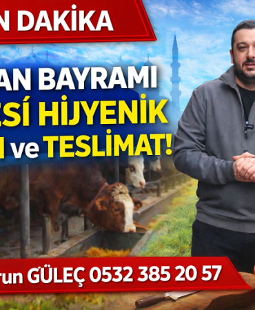 GÜLEÇ KARDEŞLER KURBAN SATIŞLARI DEVAM EDİYOR