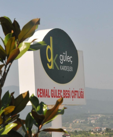 Güleç Kardeşler 2026 Kurbanlık Satışları Devam Ediyor: Modern Tesis, Şeffaf Sistem ve Aile Dostu Hizmet