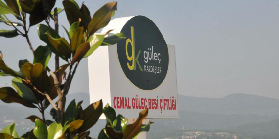Güleç Kardeşler 2026 Kurbanlık Satışları Devam Ediyor: Modern Tesis, Şeffaf Sistem ve Aile Dostu Hizmet
