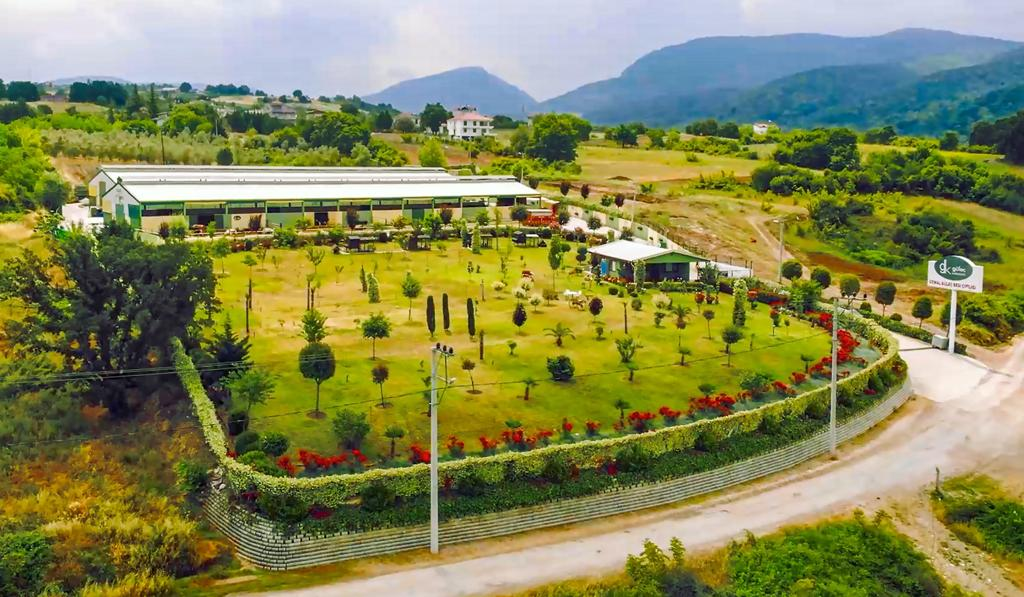 Güleç Kardeşler 2026 Kurbanlık Satışları Devam Ediyor: Modern Tesis, Şeffaf Sistem ve Aile Dostu Hizmet