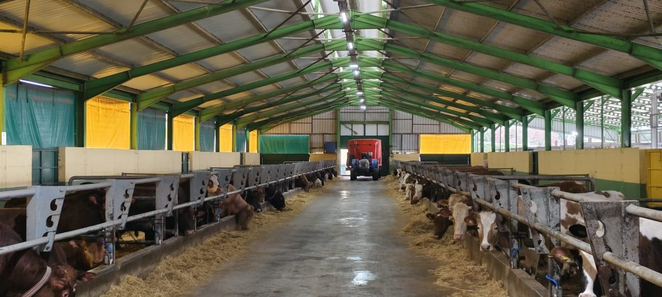 Güleç Kardeşler 2026 Kurbanlık Satışları Devam Ediyor: Modern Tesis, Şeffaf Sistem ve Aile Dostu Hizmet