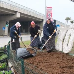 ATATÜRK CADDESİ GİRİŞİ 1000 MENEKŞEYLE RENKLENDİ