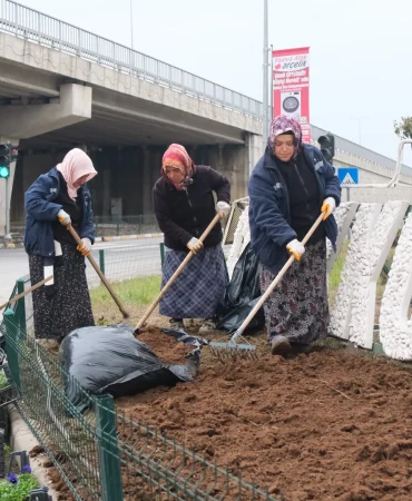 ATATÜRK CADDESİ GİRİŞİ 1000 MENEKŞEYLE RENKLENDİ
