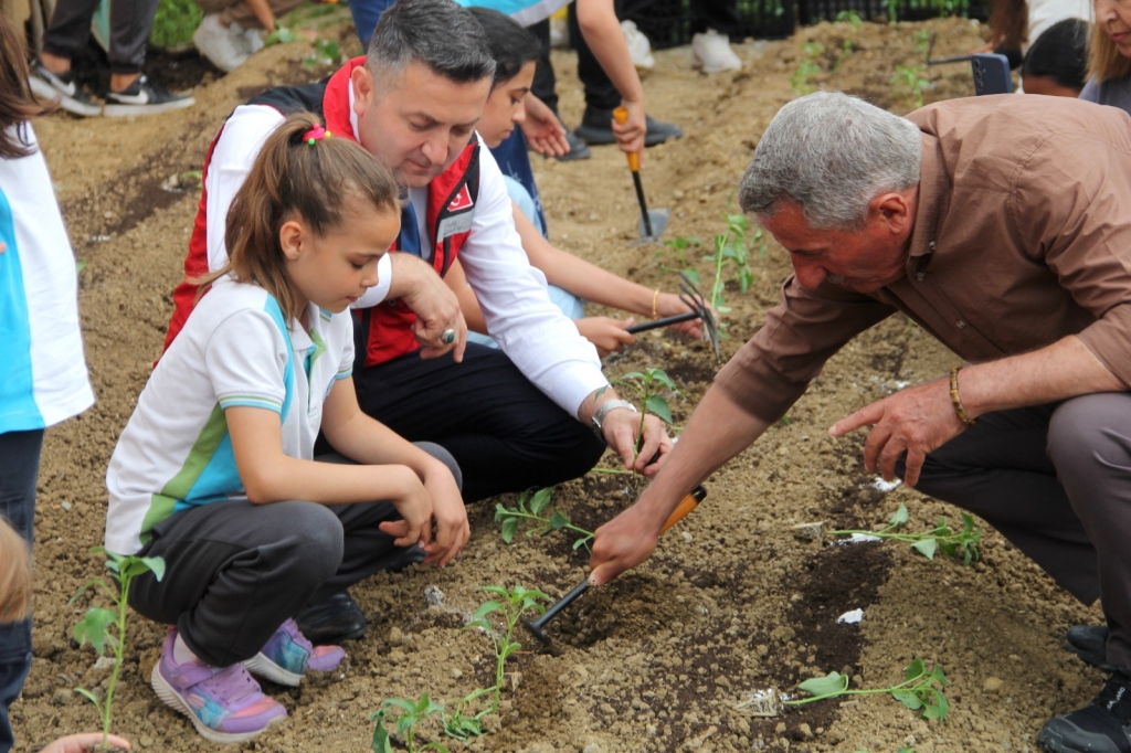 Yalova İlkokulu Öğrencileri Seraya Sebze Fideleri Dikti