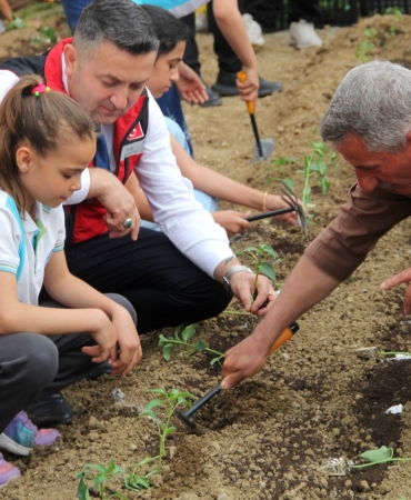 Yalova İlkokulu Öğrencileri Seraya Sebze Fideleri Dikti 8 Yalova İlkokulu Öğrencileri Seraya Sebze Fideleri Dikti