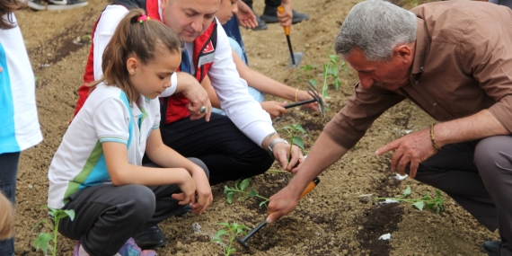 Yalova İlkokulu Öğrencileri Seraya Sebze Fideleri Dikti 43 Yalova İlkokulu Öğrencileri Seraya Sebze Fideleri Dikti