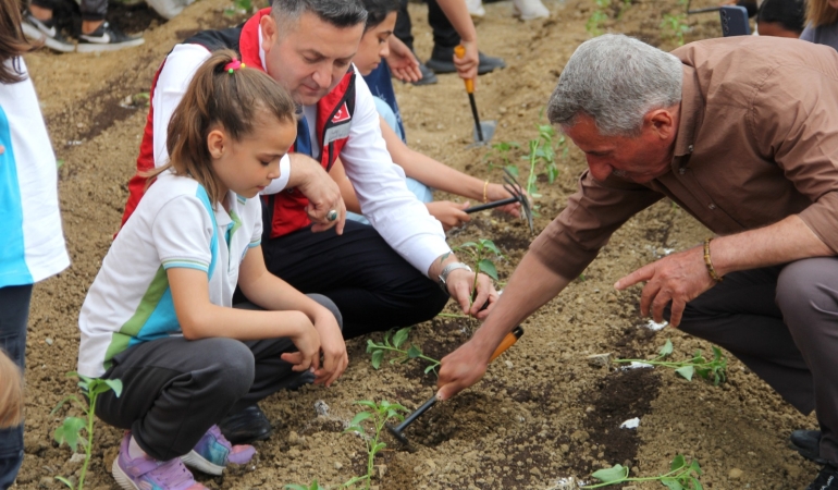 Yalova İlkokulu Öğrencileri Seraya Sebze Fideleri Dikti 6 Yalova İlkokulu Öğrencileri Seraya Sebze Fideleri Dikti