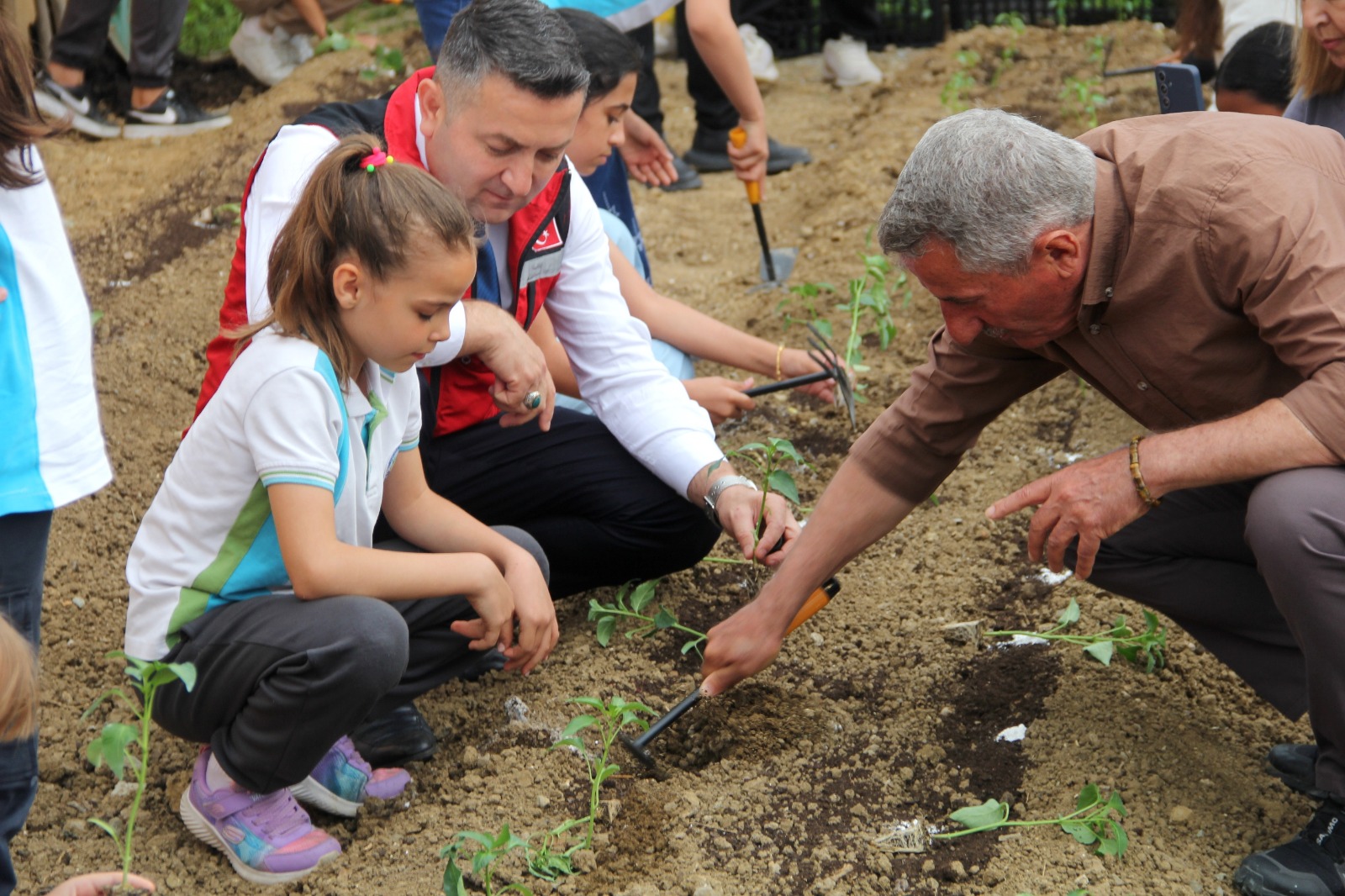 Yalova İlkokulu Öğrencileri Seraya Sebze Fideleri Dikti 1 Yalova İlkokulu Öğrencileri Seraya Sebze Fideleri Dikti