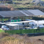 ÇİFTLİKKÖY PATİLİ DOSTLAR EMİN ELLERDE