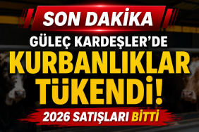 GÜLEÇ KARDEŞLER’DE 2026 KURBANLIKLARI TÜKENDİ 12 GÜLEÇ KARDEŞLER’DE 2026 KURBANLIKLARI TÜKENDİ