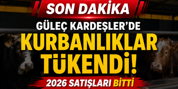 GÜLEÇ KARDEŞLER’DE 2026 KURBANLIKLARI TÜKENDİ 54 GÜLEÇ KARDEŞLER’DE 2026 KURBANLIKLARI TÜKENDİ