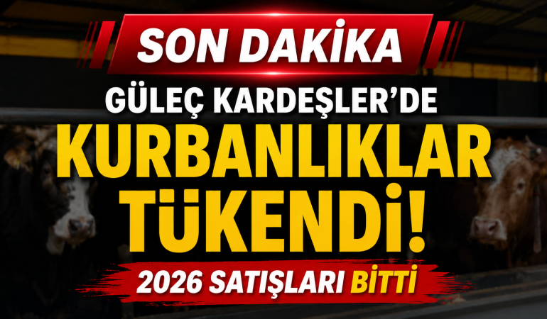 GÜLEÇ KARDEŞLER’DE 2026 KURBANLIKLARI TÜKENDİ 6 GÜLEÇ KARDEŞLER’DE 2026 KURBANLIKLARI TÜKENDİ