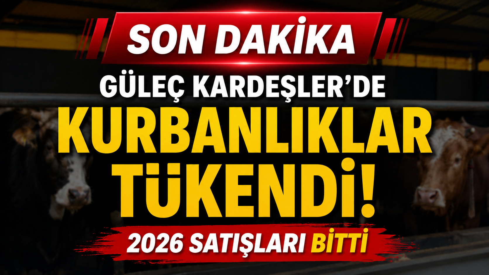 GÜLEÇ KARDEŞLER’DE 2026 KURBANLIKLARI TÜKENDİ 1 GÜLEÇ KARDEŞLER’DE 2026 KURBANLIKLARI TÜKENDİ