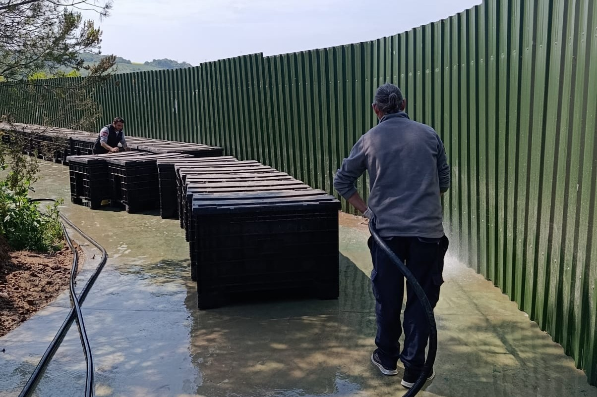 ÇİFTLİKKÖY PATİLİ DOSTLAR EMİN ELLERDE