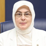 Tonami Köprüsü Çarşamba Günü Trafiğe Açılıyor