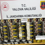 Yalova’da Kaçak Tütün Operasyonu: Binlerce Makaron ve Bandrolsüz Ürün Ele Geçirildi 22 Yalova’da Kaçak Tütün Operasyonu: Binlerce Makaron ve Bandrolsüz Ürün Ele Geçirildi
