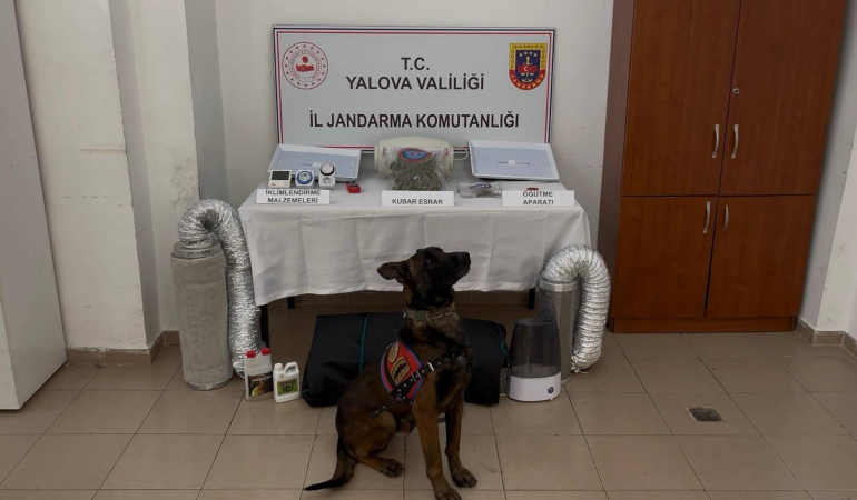 Yalova’da Uyuşturucu Operasyonu: Evde Kurulan İklimlendirme Sistemiyle Kenevir Yetiştirdiği İddia Edilen Şahsa Adli İşlem
