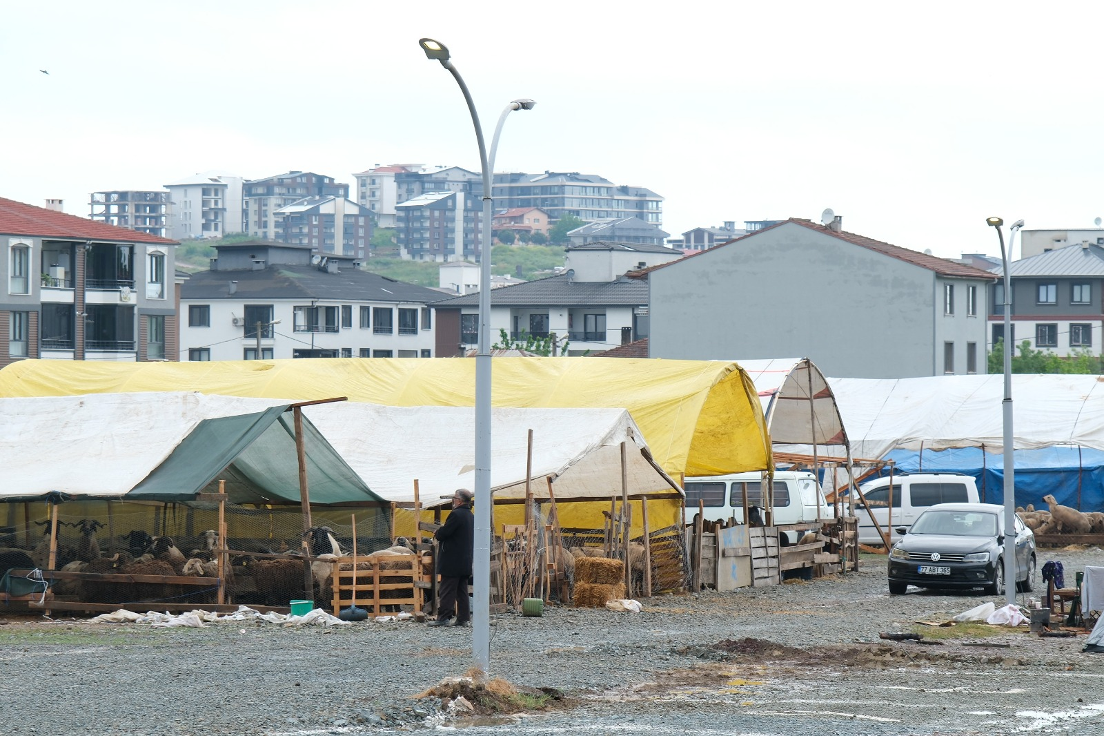 ÇİFTLİKKÖY’DE KURBAN PAZARI BAYRAM İÇİN HAZIR