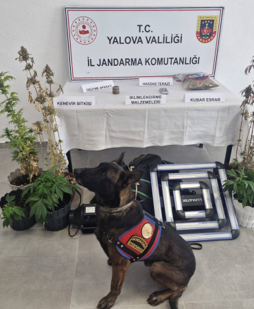 Yalova’da İklimlendirme Sistemiyle Kenevir Yetiştiriciliğine Jandarma Baskını: 14 Kök Kenevir Ele Geçirildi 8 Yalova’da İklimlendirme Sistemiyle Kenevir Yetiştiriciliğine Jandarma Baskını: 14 Kök Kenevir Ele Geçirildi