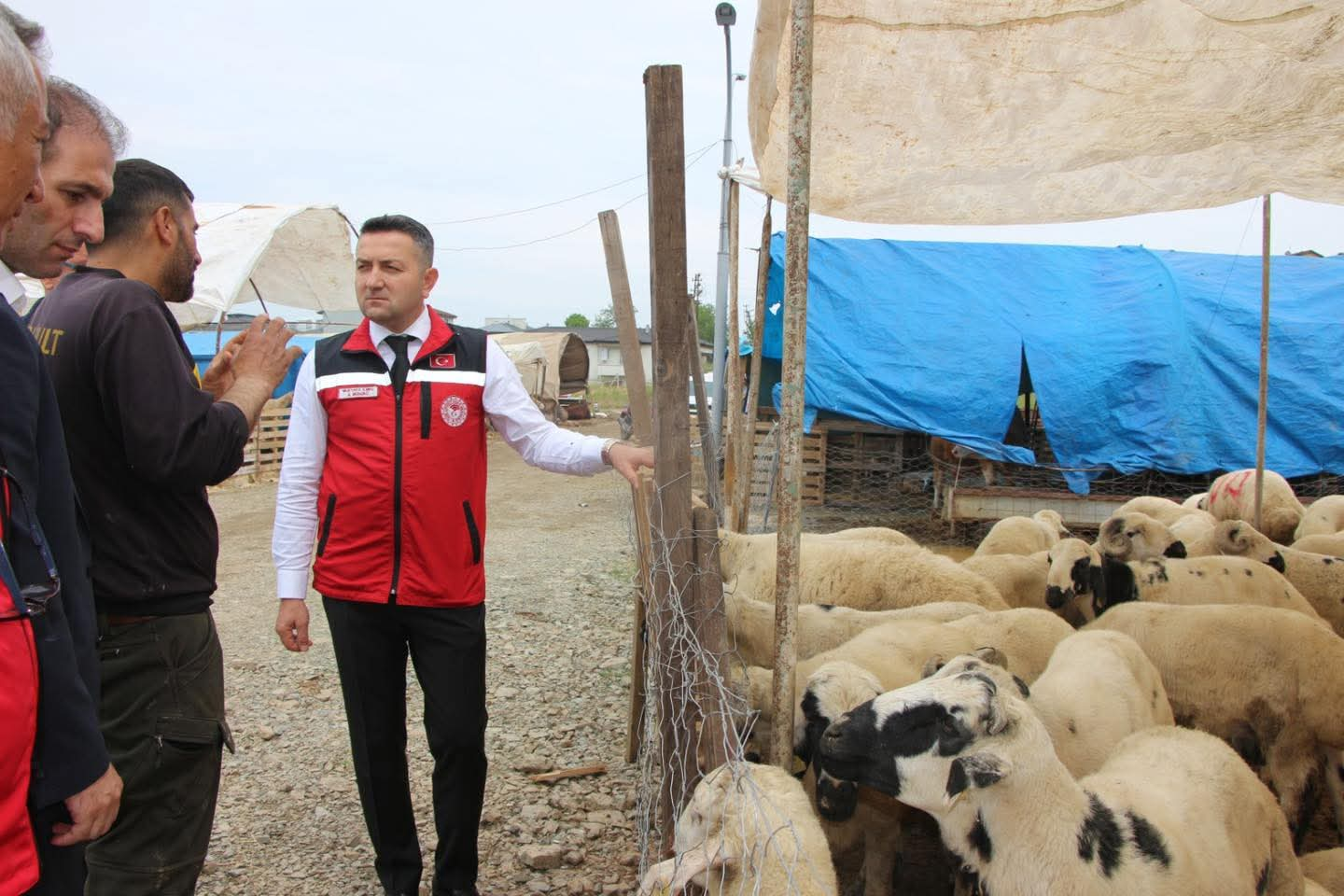 Yalova İl Tarım ve Orman Müdürü Mustafa İlmeç’ten Kritik Temaslar: 10 Yalova İl Tarım ve Orman Müdürü Mustafa İlmeç’ten Kritik Temaslar: