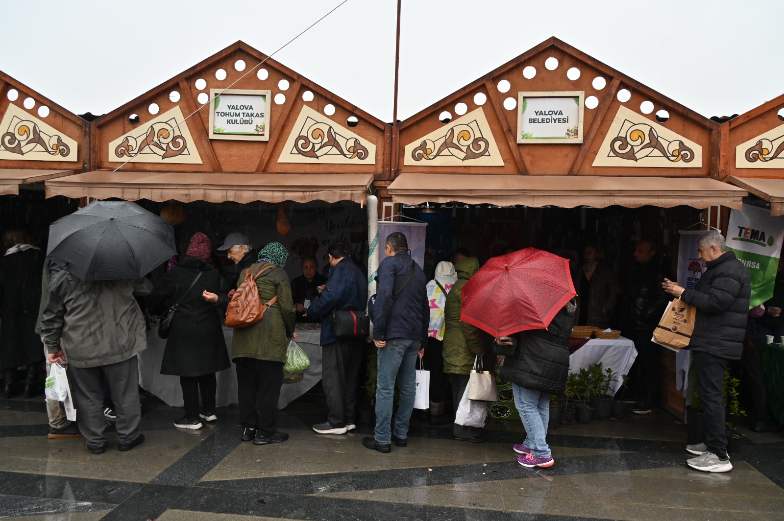 YALOVA’NIN ATA TOHUMLARI TÜRKİYE’NİN DÖRT BİR YANINA YAYILIYOR