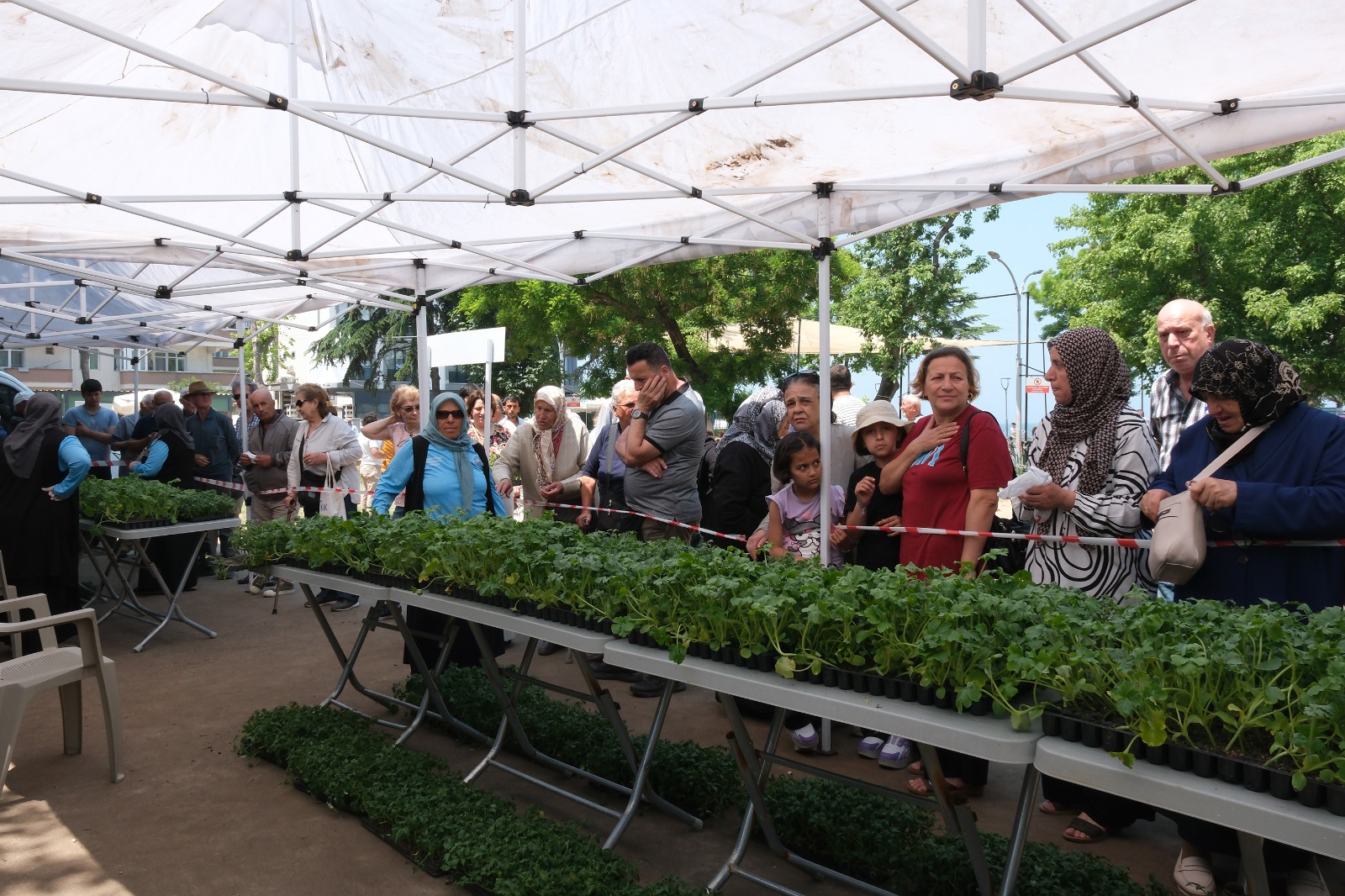Başkan Yele’den Çiftlikköylülere 40 Bin Fide Desteği