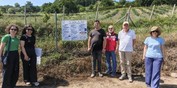 Yalova’da Yaban Mersininde İyi Tarım Uygulamaları Yaygınlaşıyor: 260 Dekarlık Alanda Sertifikasyon Süreci Devam Ediyor 10 Yalova’da Yaban Mersininde İyi Tarım Uygulamaları Yaygınlaşıyor: 260 Dekarlık Alanda Sertifikasyon Süreci Devam Ediyor