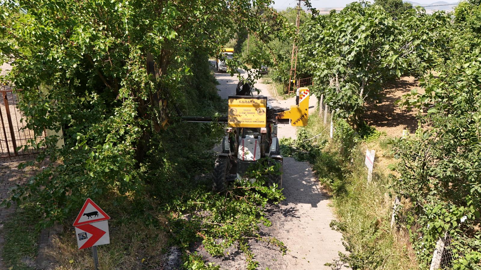 Yalova’da Köy Yollarında Güvenlik Seferberliği: Yol Kenarlarında Budama ve Temizlik Çalışmaları Aralıksız Devam Ediyor 6 Yalova’da Köy Yollarında Güvenlik Seferberliği: Yol Kenarlarında Budama ve Temizlik Çalışmaları Aralıksız Devam Ediyor