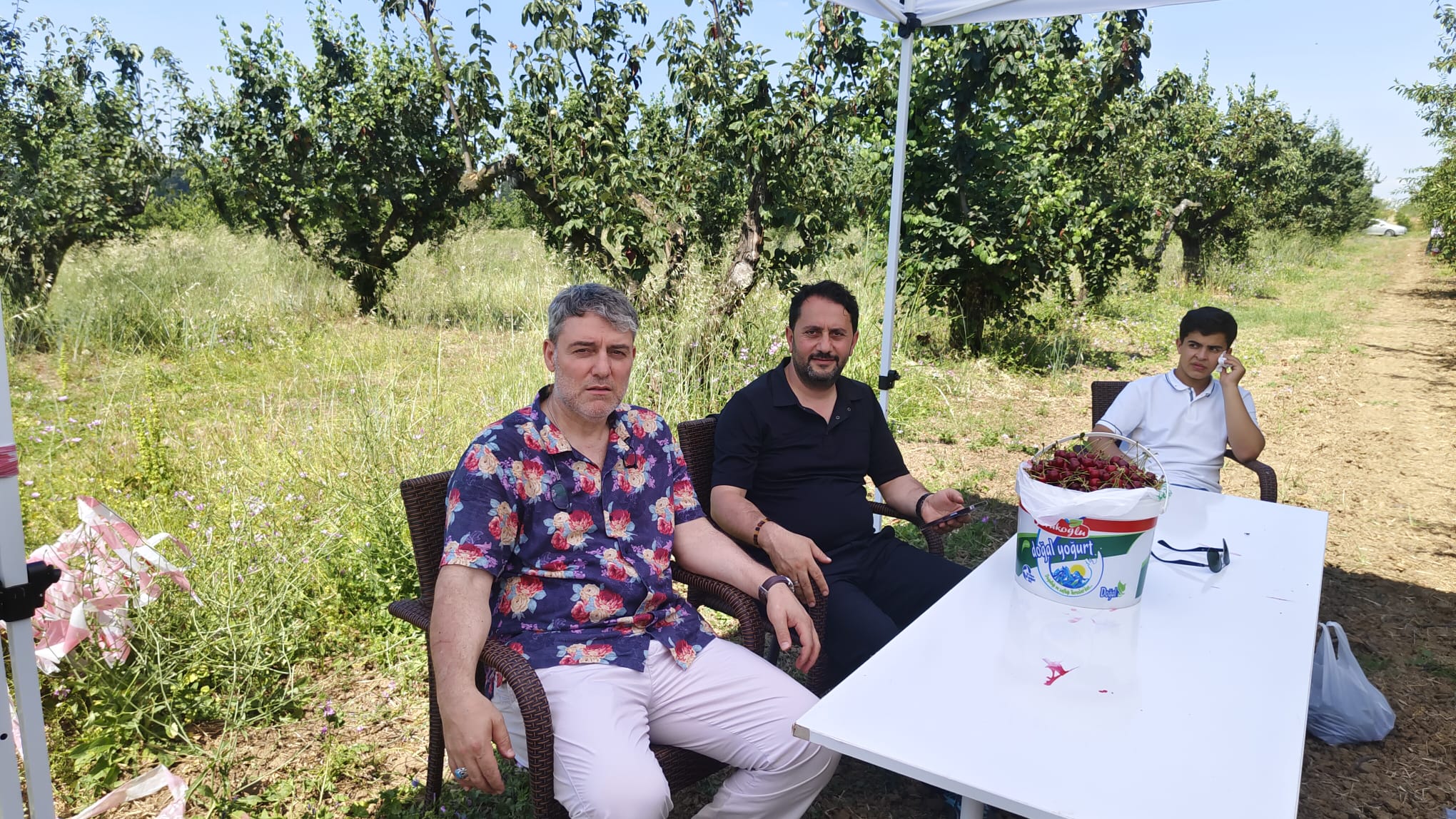 Yalova’da Dalından Vişne Toplama Etkinliği Yoğun İlgi Gördü: Vatandaşlar Hasat Heyecanını Bahçede Yaşadı