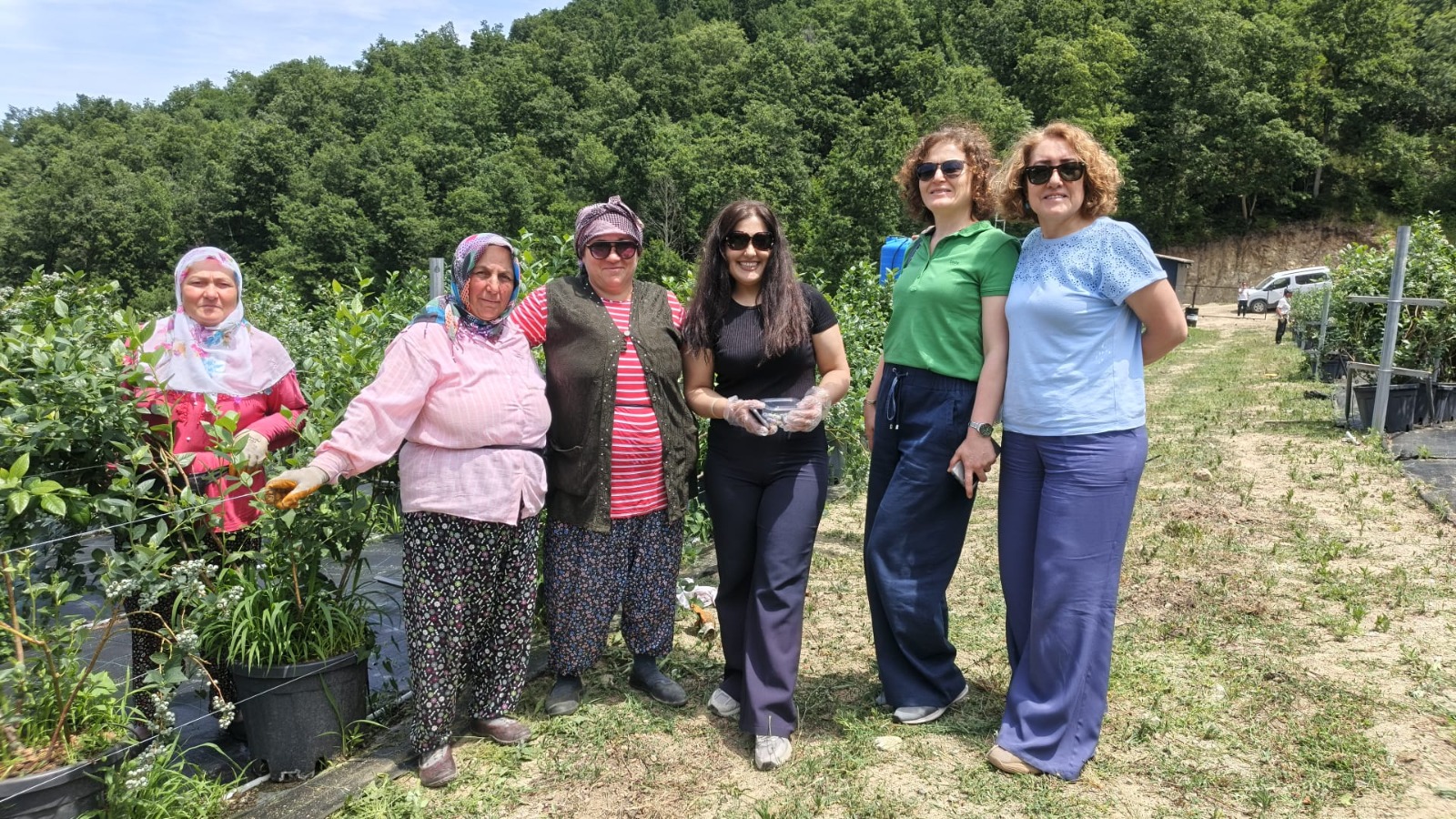 Yalova’da Yaban Mersininde İyi Tarım Uygulamaları Yaygınlaşıyor: 260 Dekarlık Alanda Sertifikasyon Süreci Devam Ediyor 4 Yalova’da Yaban Mersininde İyi Tarım Uygulamaları Yaygınlaşıyor: 260 Dekarlık Alanda Sertifikasyon Süreci Devam Ediyor