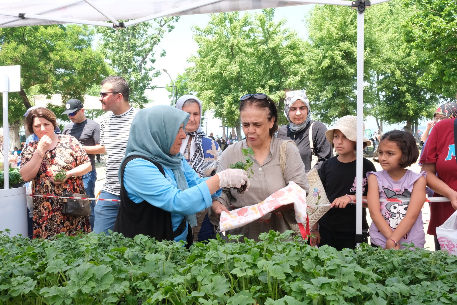 Başkan Yele’den Çiftlikköylülere 40 Bin Fide Desteği