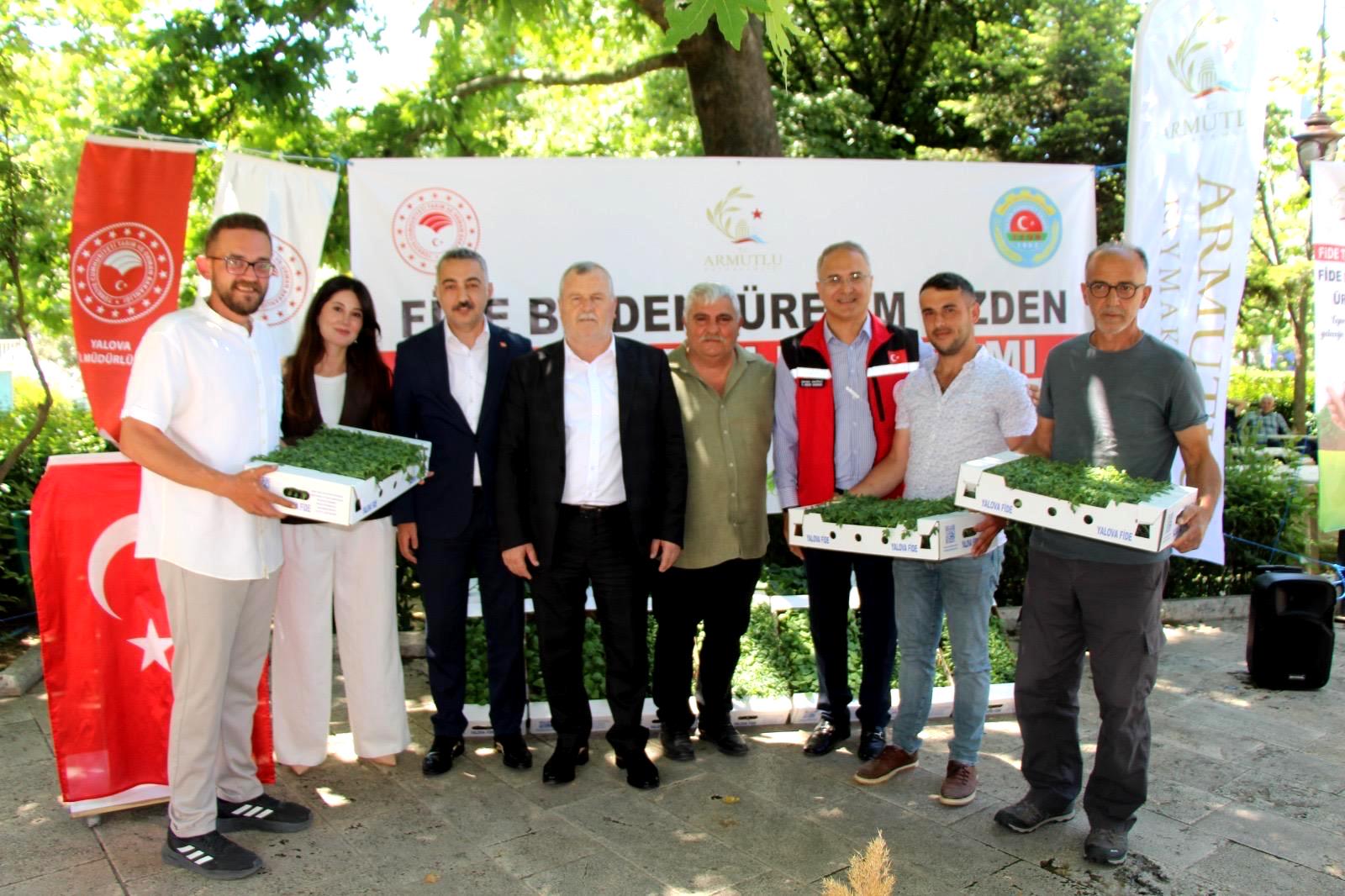 Armutlu’da Üreticilere 20 Bin Sebze Fidesi Desteği 4 Armutlu’da Üreticilere 20 Bin Sebze Fidesi Desteği