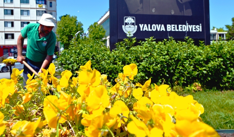 Yalova Yazı Çiçeklerle Karşılıyor: Mevsimlik Çiçek Ekimi Başladı
