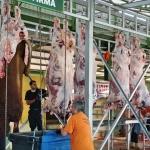 Kurban Bayramı’nda Yalovalıların Tercihi Yine Güleç Kardeşler Oldu: 7 Bin Kişiyi Ağırladılar