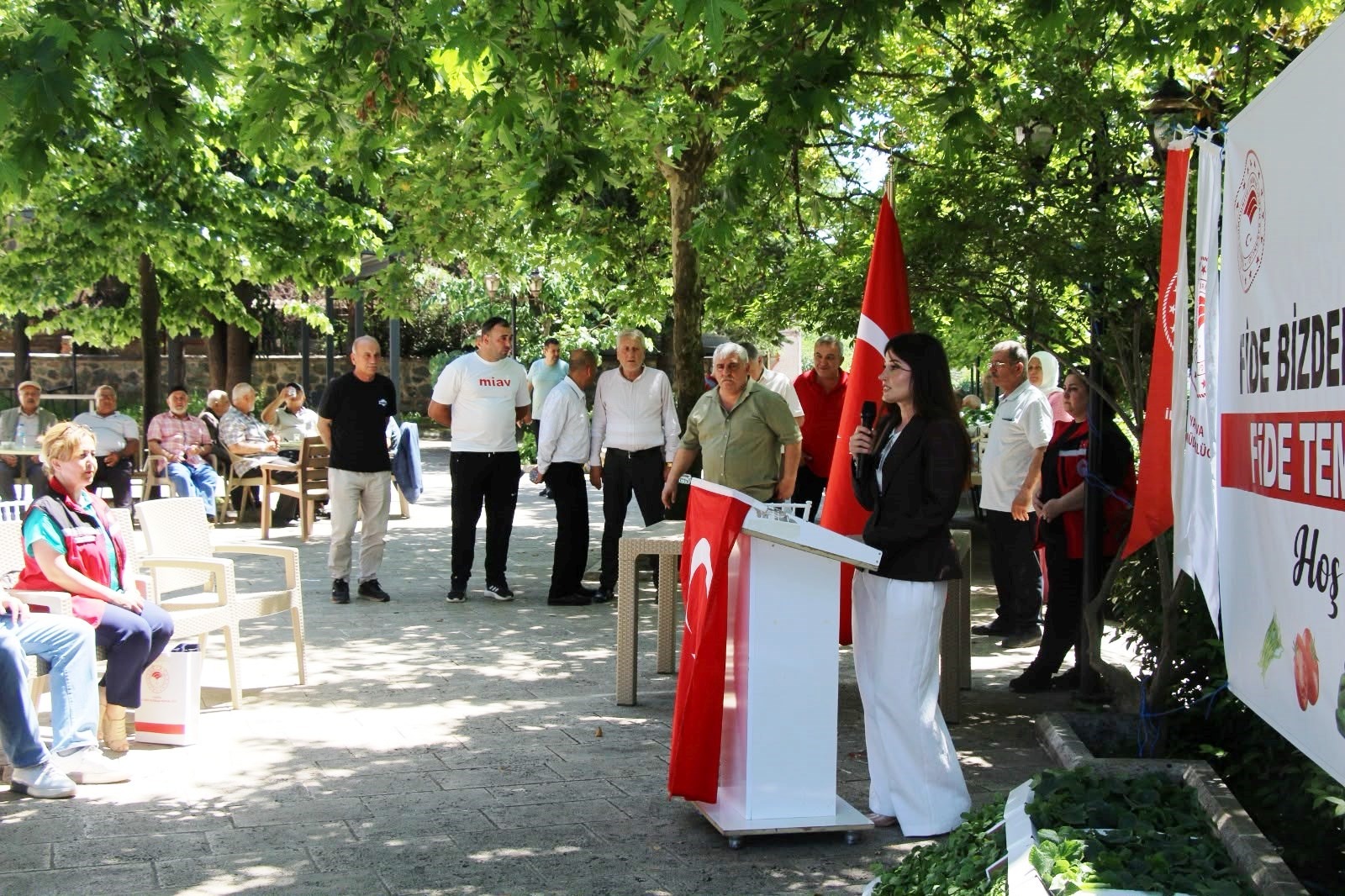 Armutlu’da Üreticilere 20 Bin Sebze Fidesi Desteği 5 Armutlu’da Üreticilere 20 Bin Sebze Fidesi Desteği