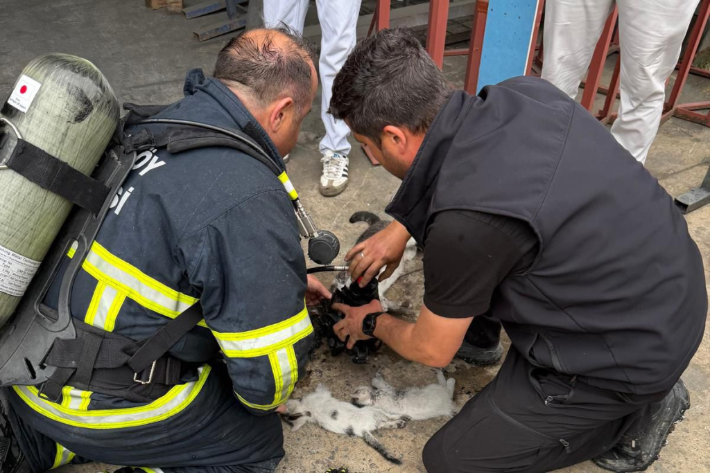 Çiftlikköy İtfaiyesi Mayıs Ayında 90 Faaliyete İmza Attı
