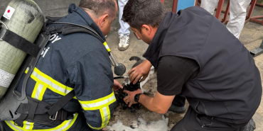 Çiftlikköy İtfaiyesi Mayıs Ayında 90 Faaliyete İmza Attı 77 Çiftlikköy İtfaiyesi Mayıs Ayında 90 Faaliyete İmza Attı