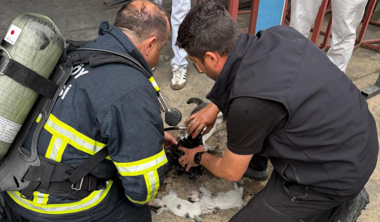 Çiftlikköy İtfaiyesi Mayıs Ayında 90 Faaliyete İmza Attı
