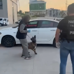 Yalova’da Uyuşturucu Operasyonu: 205 Gram Uyuşturucu Ele Geçirildi, 2 Şüpheli Tutuklandı 25 Yalova’da Uyuşturucu Operasyonu: 205 Gram Uyuşturucu Ele Geçirildi, 2 Şüpheli Tutuklandı