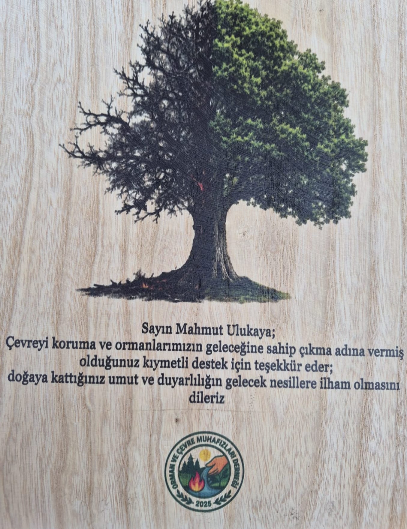 Hamdi Ulukaya, Mahmut Ulukaya ve Recep Cemil Tanguroğlu’na ORÇEM’den Onur ve Dayanışma Plaketi 7 Orman ve Çevre Muhafızları Derneği’nden Anlamlı Vefa Projesi: Dişbudak Ağacından Özel Plaketlerle Doğa Dostlarına Teşekkür